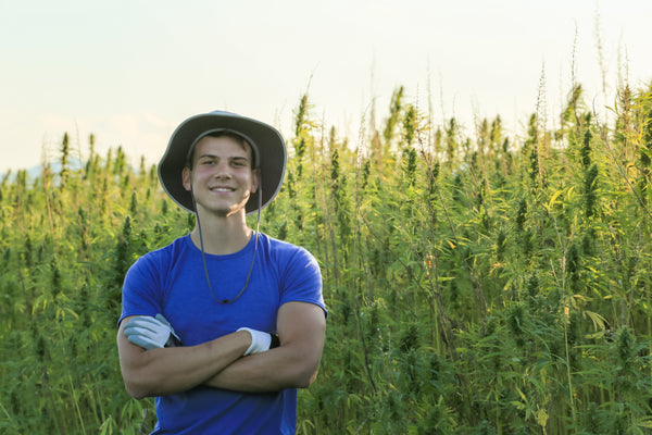 5 Reasons To Choose Organic Hemp